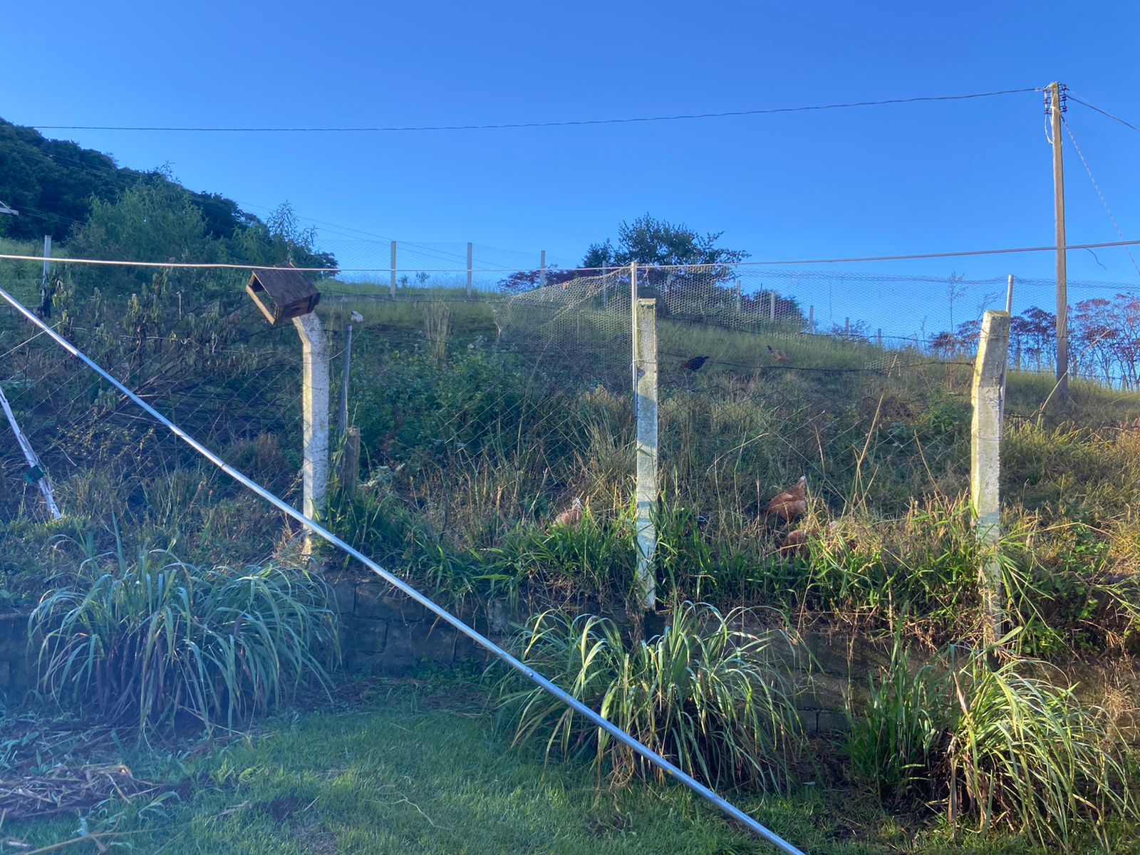 Belíssimo sítio com casa composta de 3 quarto; churrasqueira, piscina, 2 lagos de peixes em Toledo - MG  | código 1074